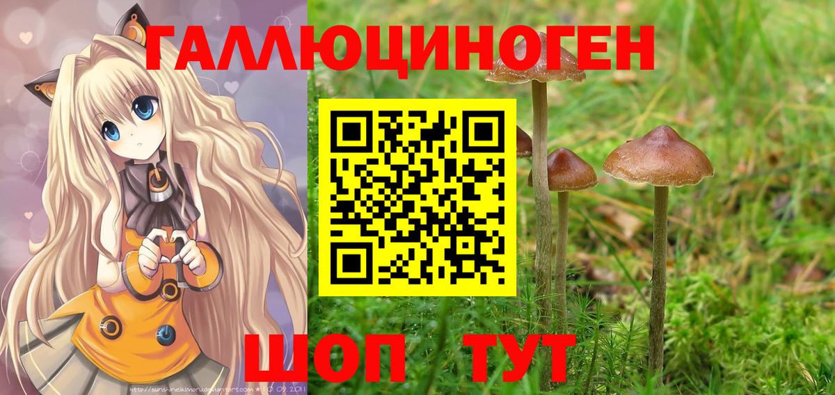 Псилоцибиновые грибы ЛСД Прохладный