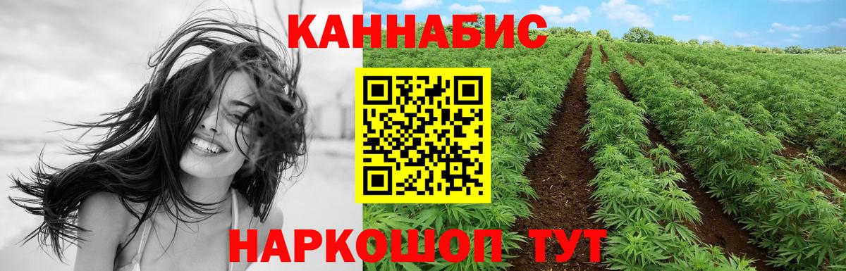 Бошки Шишки LSD WEED  Бошки Шишки тримм  Марихуана индика  Конопля конопля  Вход с VPN  Прохладный 